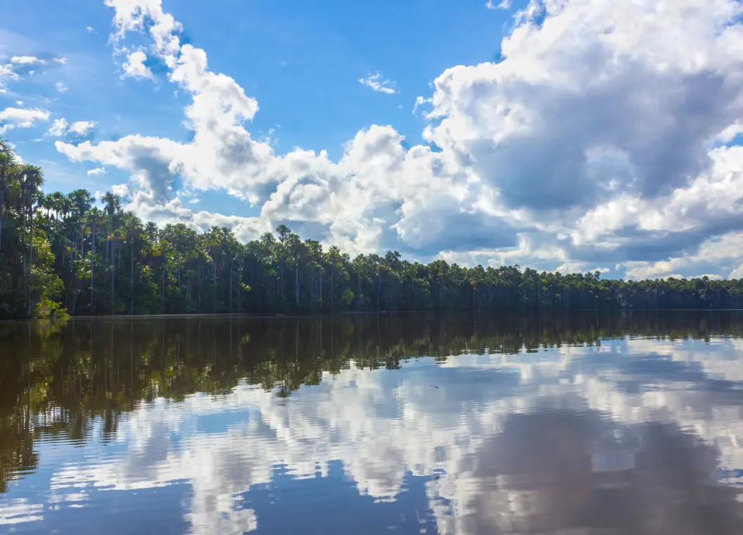 Qué hacer en Departamento de Madre de Dios